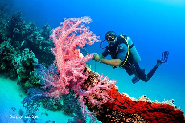 5 days diving (10 Dives)