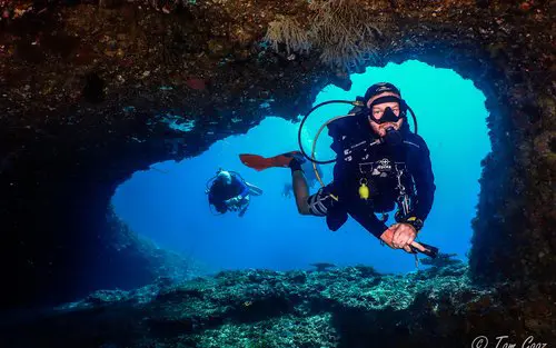 1 Day Diving (2-dives)