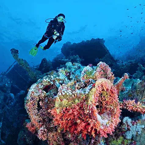 Welcome to Global Divers