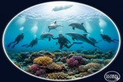 Dolphin reef dive site Hurghada