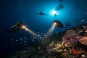 Tauchplätze für Nachttauchgänge in Hurghada