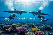 Dolphin reef dive site Hurghada
